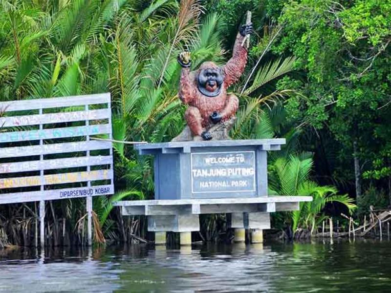 Taman Nasional Tanjung Puting 